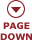 Page Down